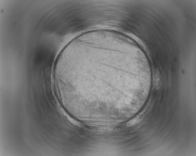 X0000062131294200601060848