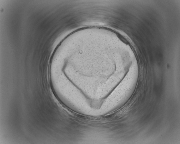 X0000062131295200601060848