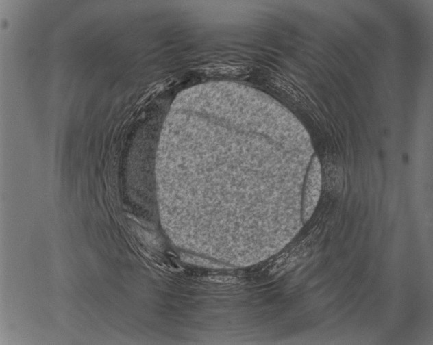 X0000062131297200601060847