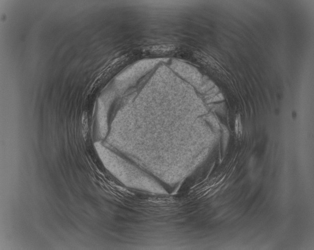 X0000062131299200601060847