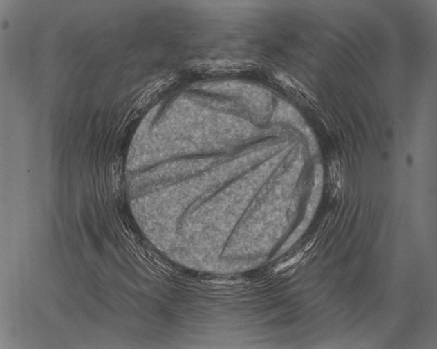 X0000062131300200601060847