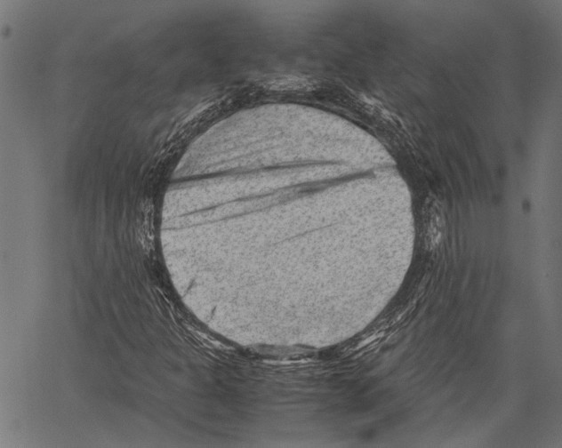 X0000062131301200601060847