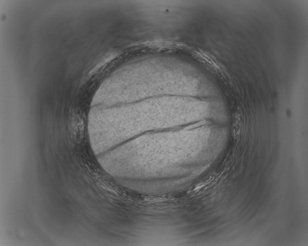 X0000062131302200601060847