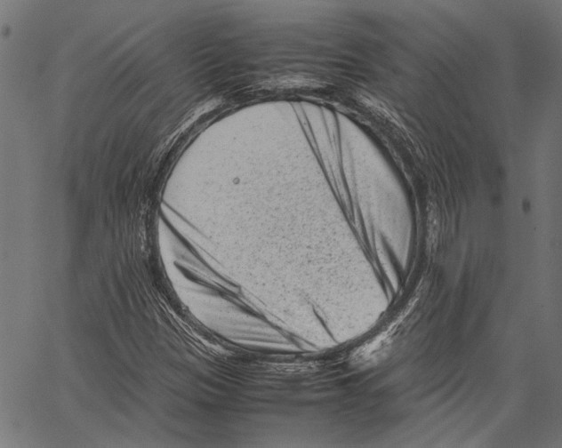 X0000062131305200601060847