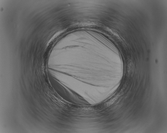 X0000062131306200601060847