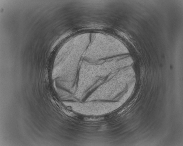 X0000062131307200601060847