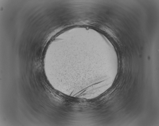 X0000062131308200601060847