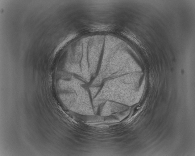 X0000062131309200601060847