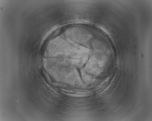 X0000062131310200601060847