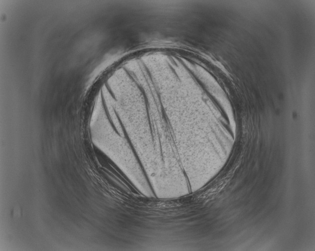 X0000062131311200601060847