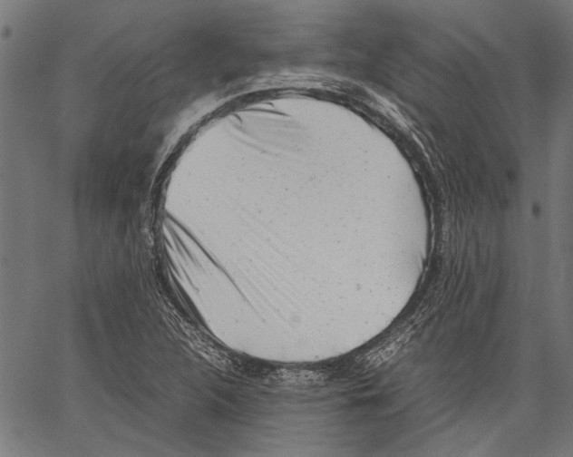 X0000062131312200601060847