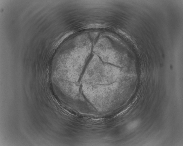 X0000062131313200601060847