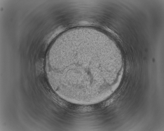 X0000062131314200601060847