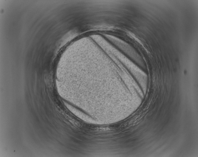 X0000062131315200601060847