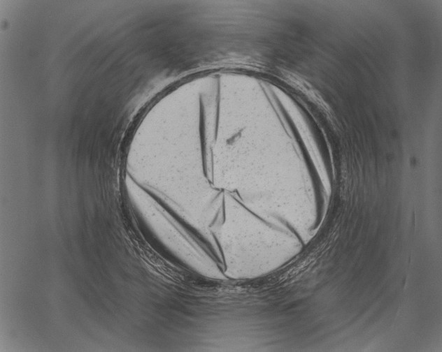 X0000062131316200601060847