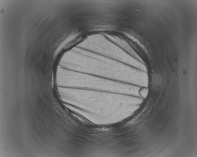 X0000062131317200601060847