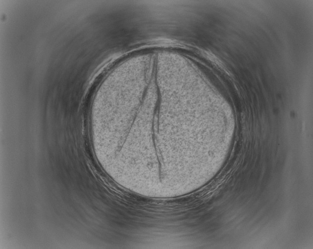 X0000062131318200601060847