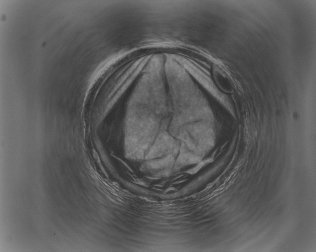 X0000062131319200601060847