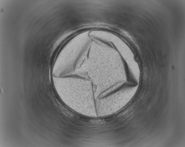 X0000062131320200601060847