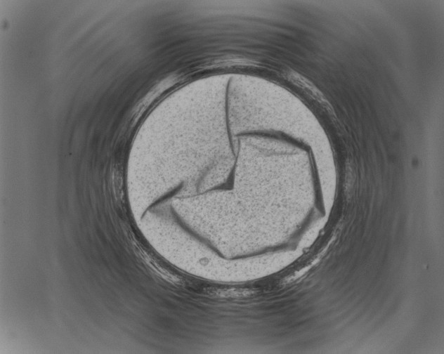 X0000062131321200601060847