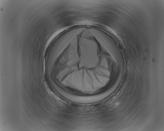 X0000062131323200601060847