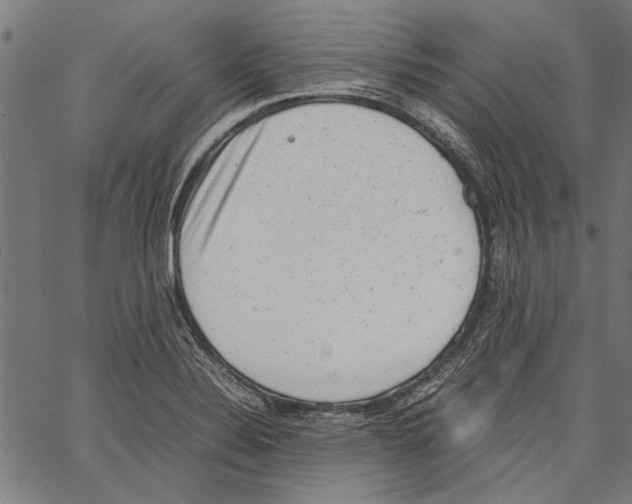 X0000062131324200601060847