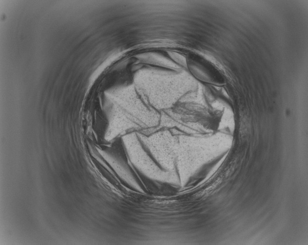 X0000062131325200601060847