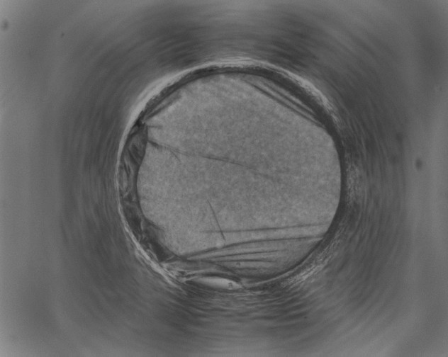 X0000062131327200601060847