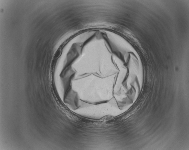 X0000062131328200601060847