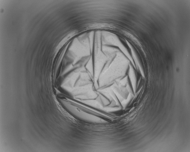 X0000062131330200601060847