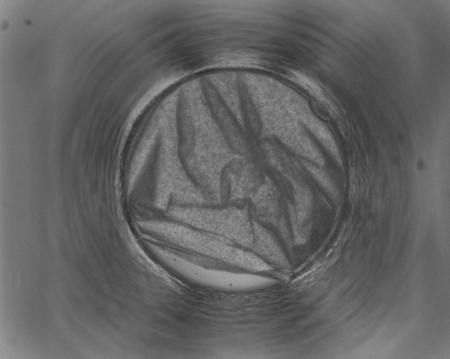 X0000062131331200601060847