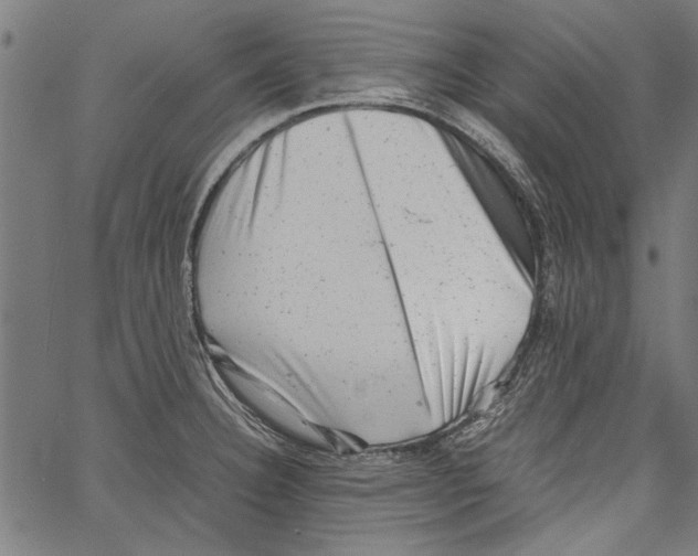 X0000062131332200601060847