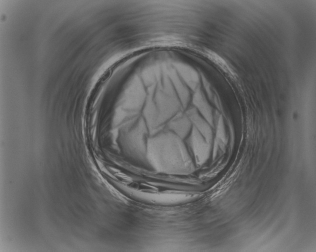 X0000062131334200601060847