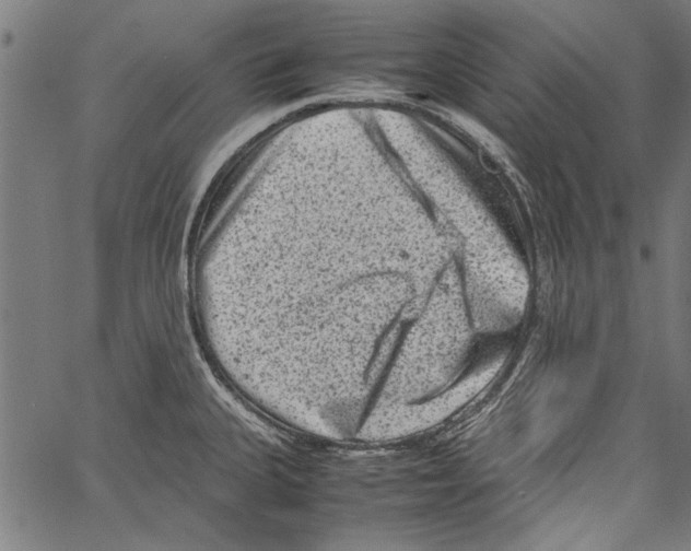 X0000062131335200601060847