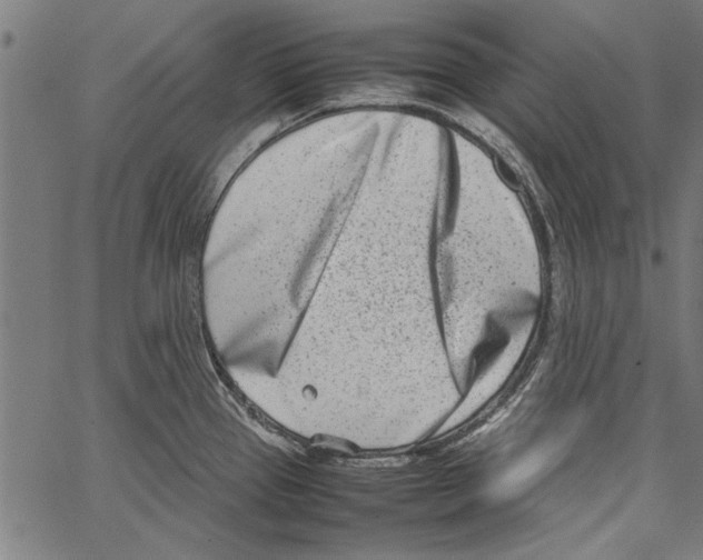 X0000062131337200601060847