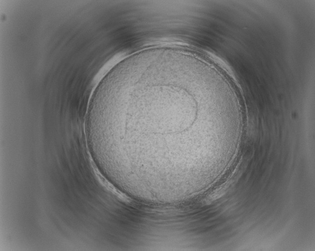 X0000062131338200601060848