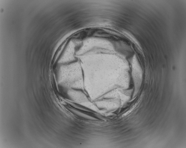 X0000062131340200601060848