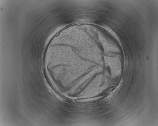 X0000062131341200601060848