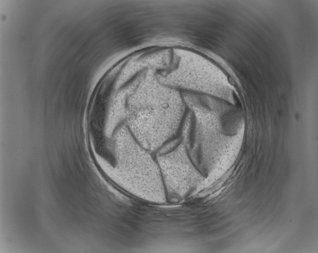 X0000062131343200601060848