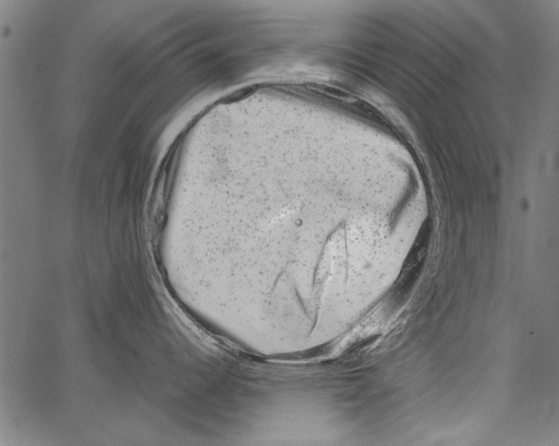 X0000062131344200601060848