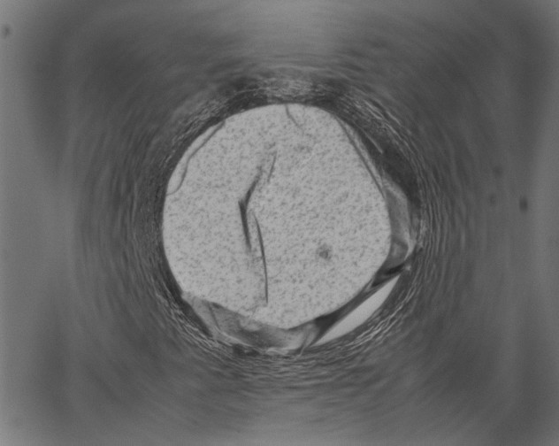 X0000062131345200601060847