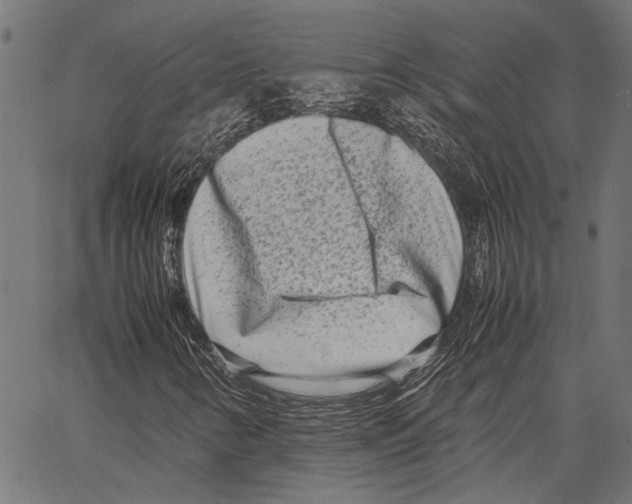 X0000062131346200601060847