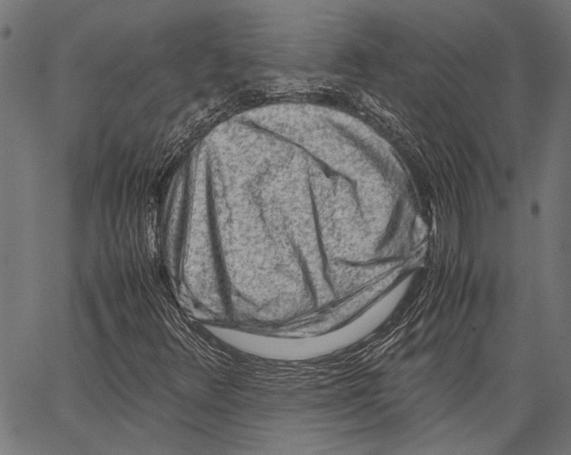 X0000062131348200601060847