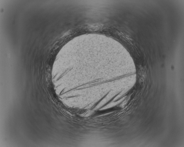 X0000062131349200601060847