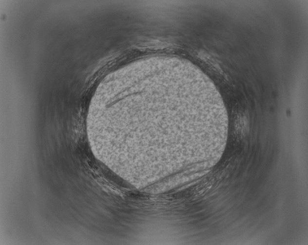 X0000062131350200601060847