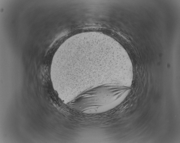 X0000062131351200601060847