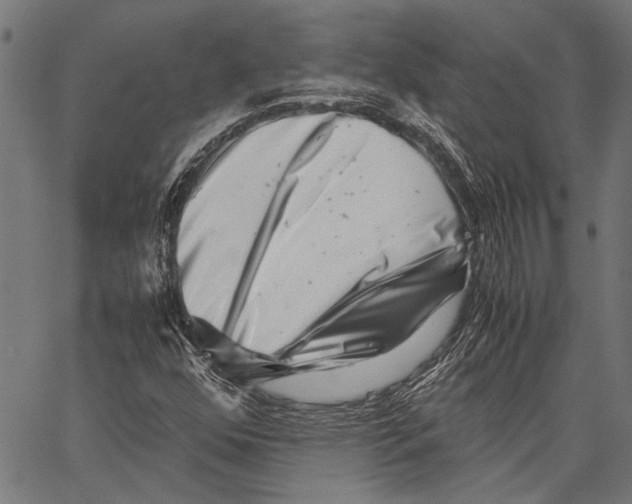 X0000062131352200601060847