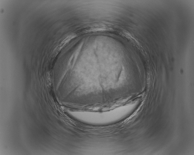 X0000062131353200601060847