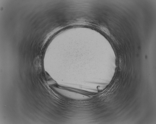 X0000062131356200601060847