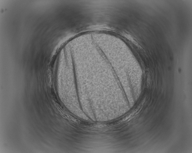 X0000062131358200601060847